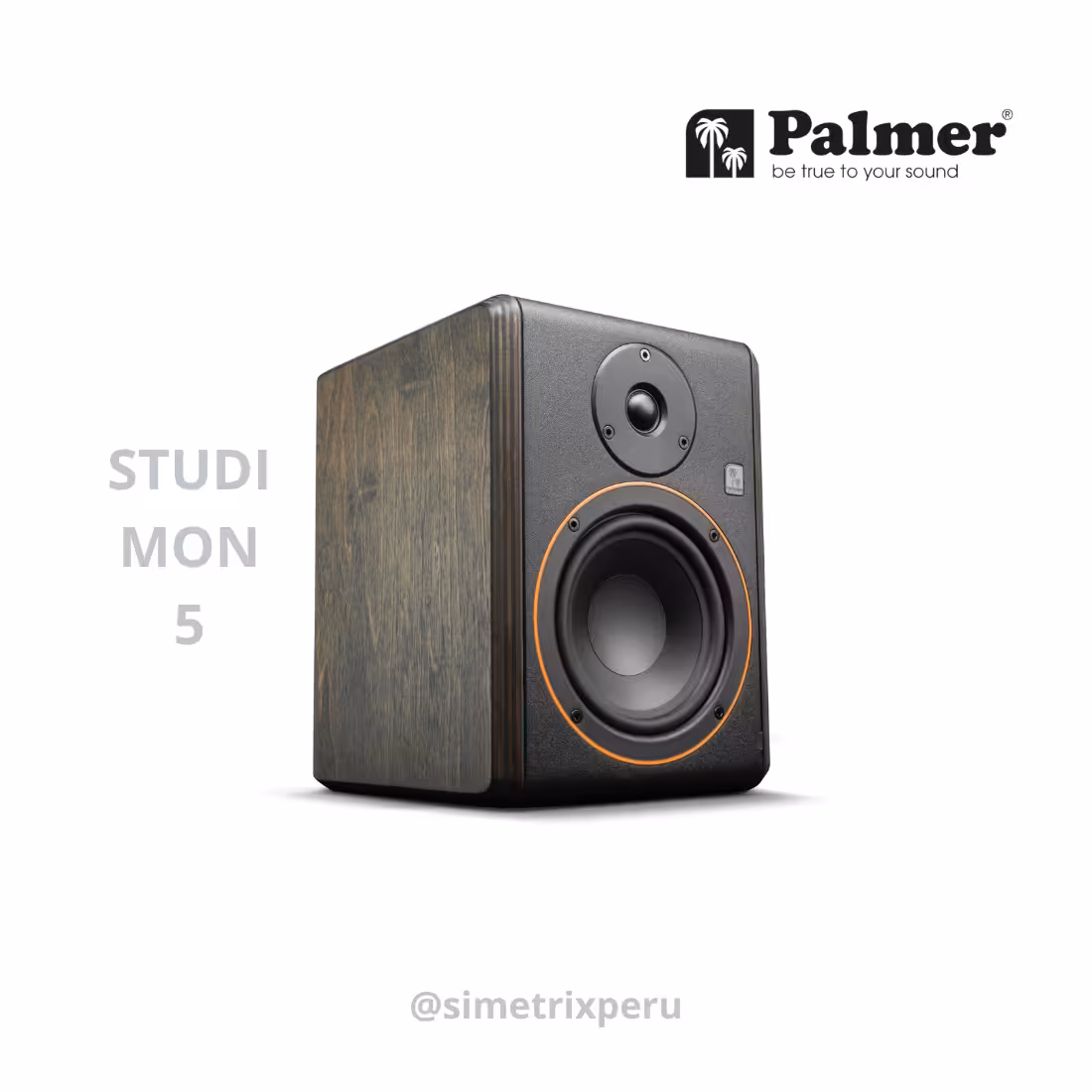palmer-studimon-5-precio palmer-studimon-5-precio