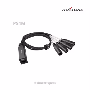 roxtone-ps4m